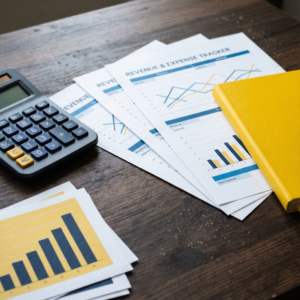 Revenue & Expense Tracker for Bloggers